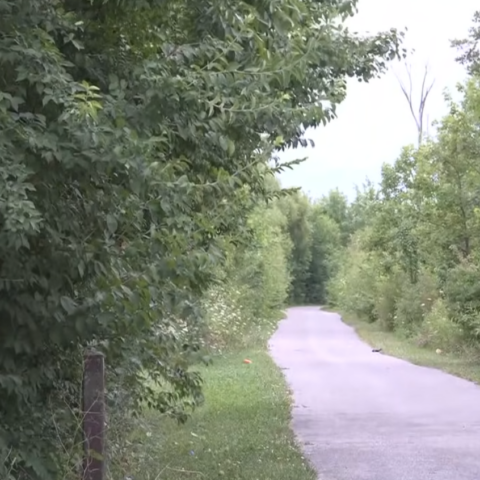 trail